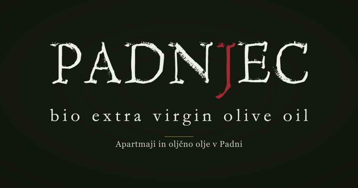 HIŠA PADNJEC, Padna